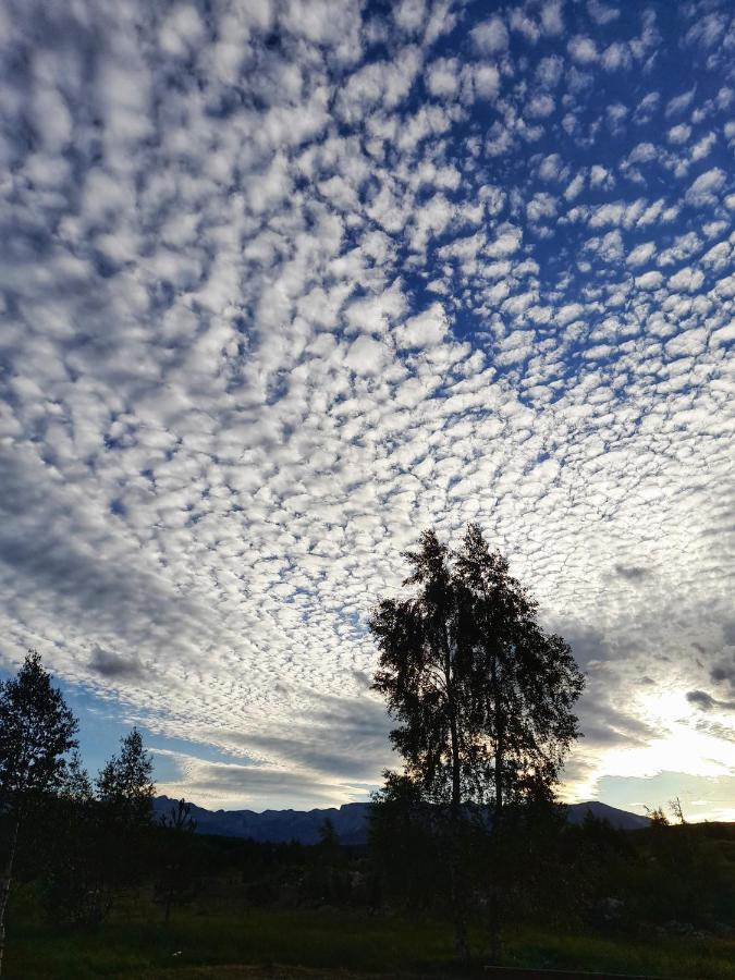 Villa Breza Žabljak Eksteriør bilde