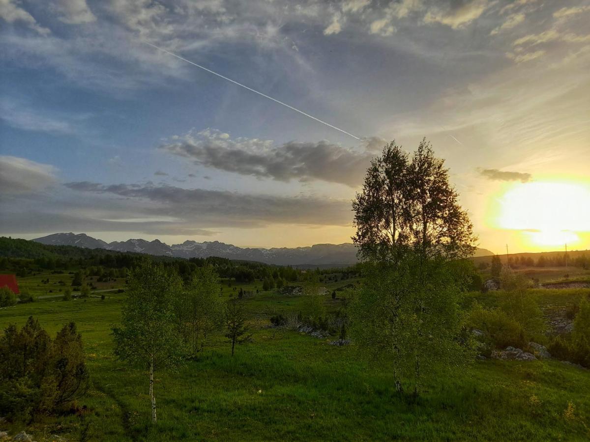 Villa Breza Žabljak Eksteriør bilde